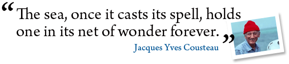 Jacques Cousteau Quote